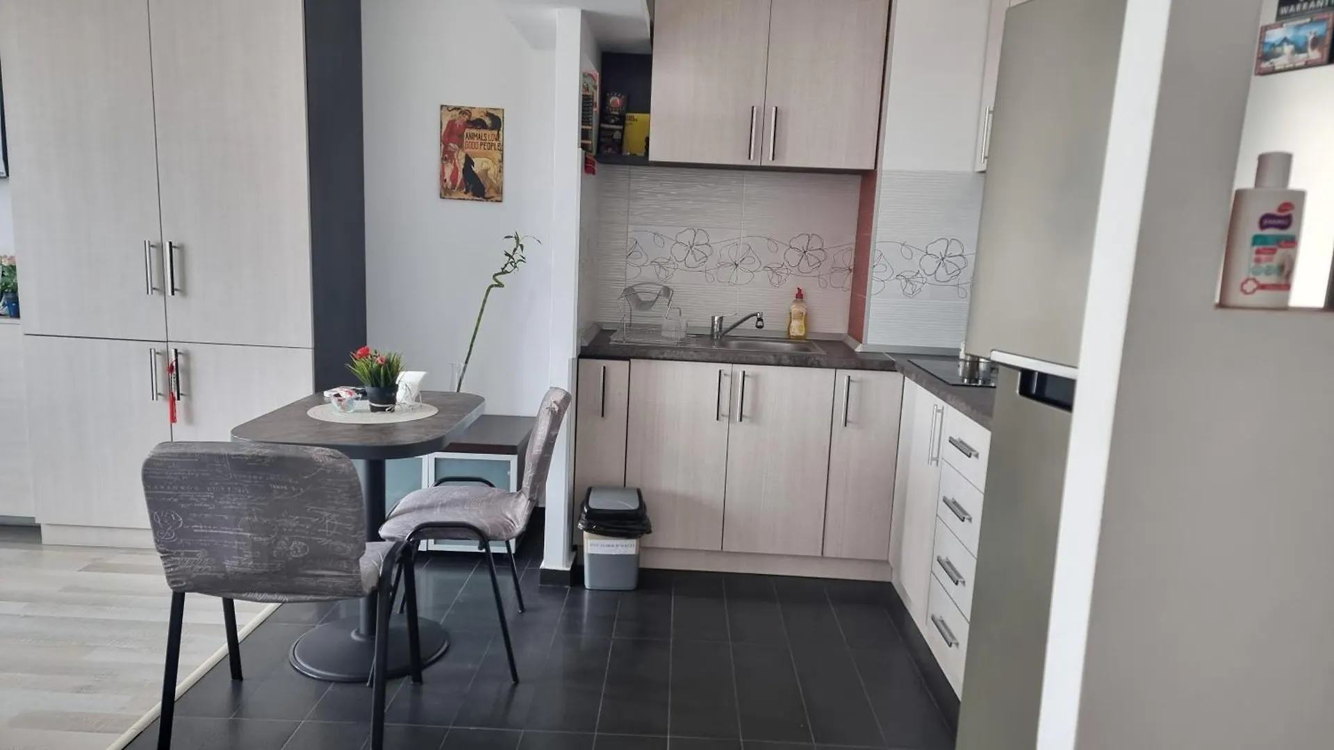 Bucharest Apartment Unirii Center 2Km
